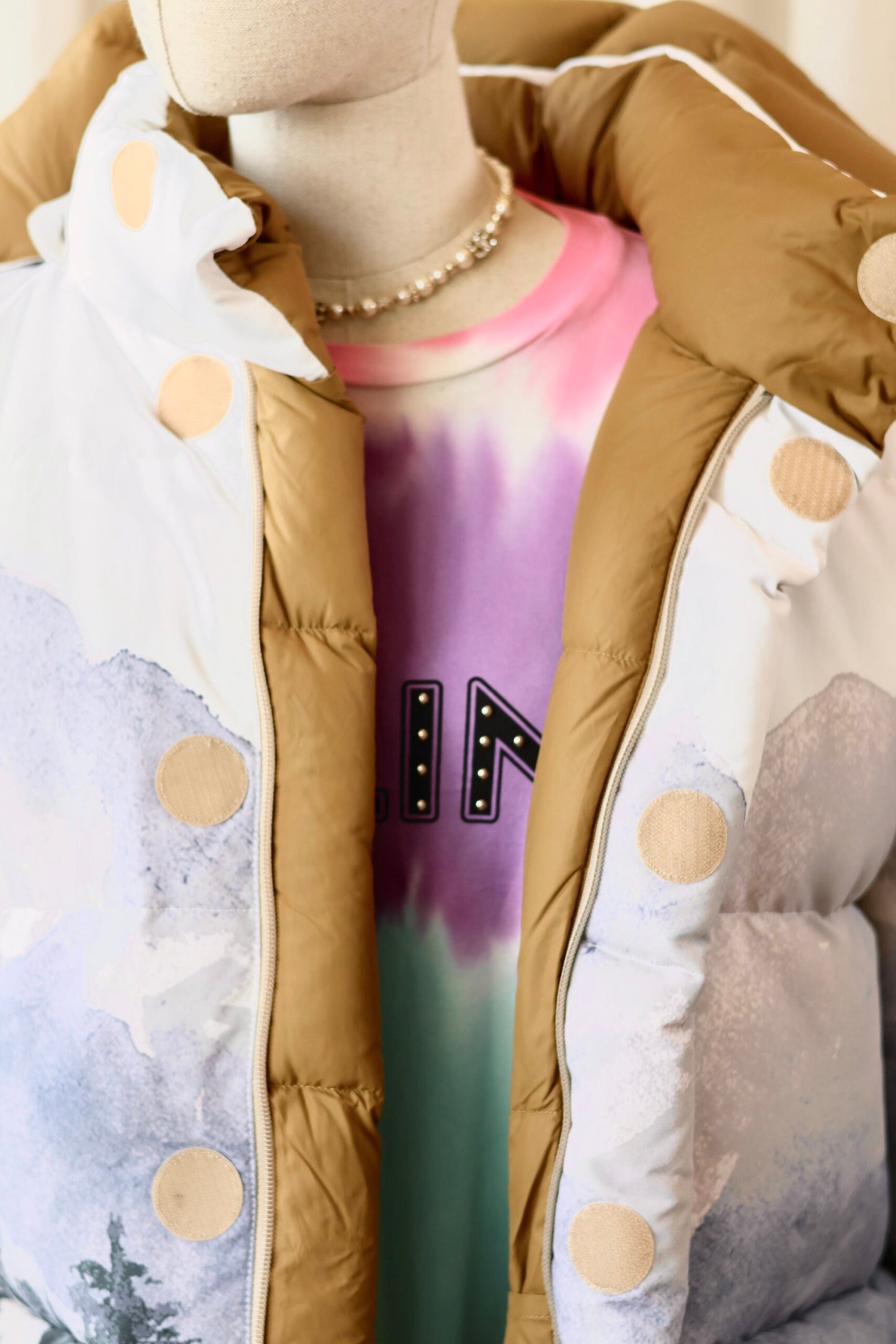 Gucci x The North Face winter jacket M