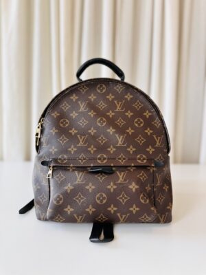 Louis Vuitton Palm Spring MM