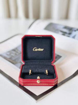 Cartier Love earrings (Copy)