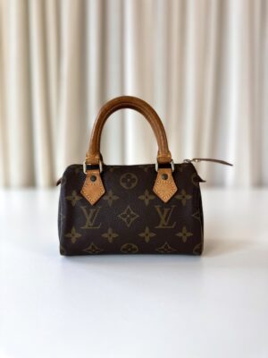 Louis Vuitton Monogram nano speedy