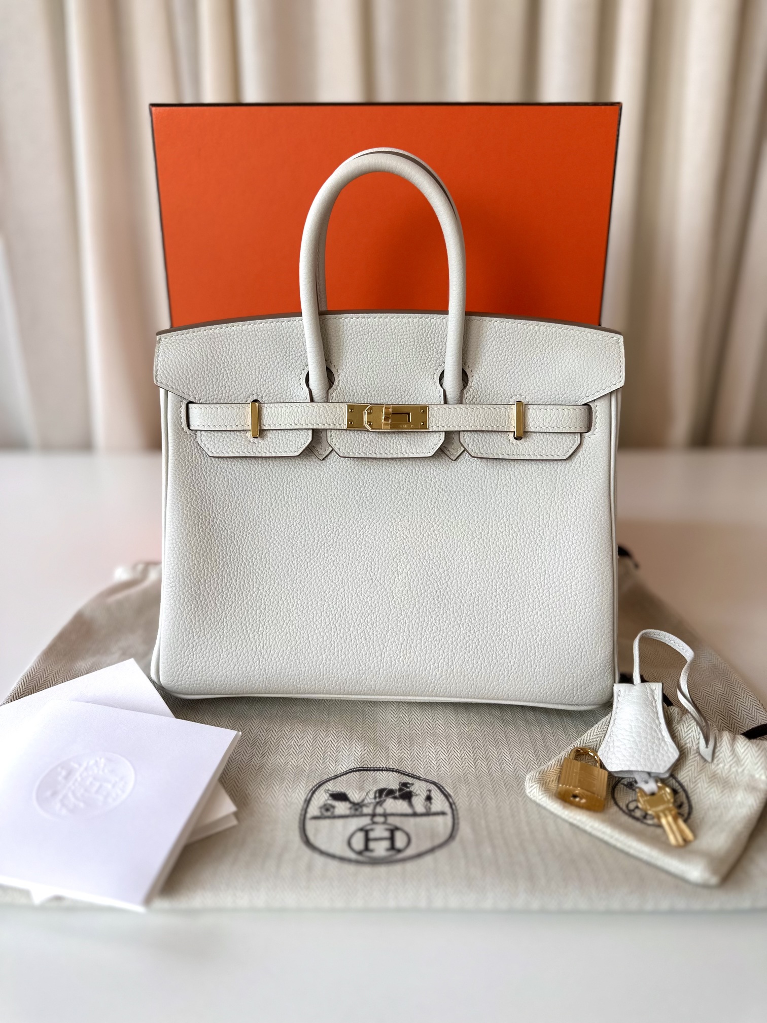 Hermes Birkin 25 Gris Pale - Image 6