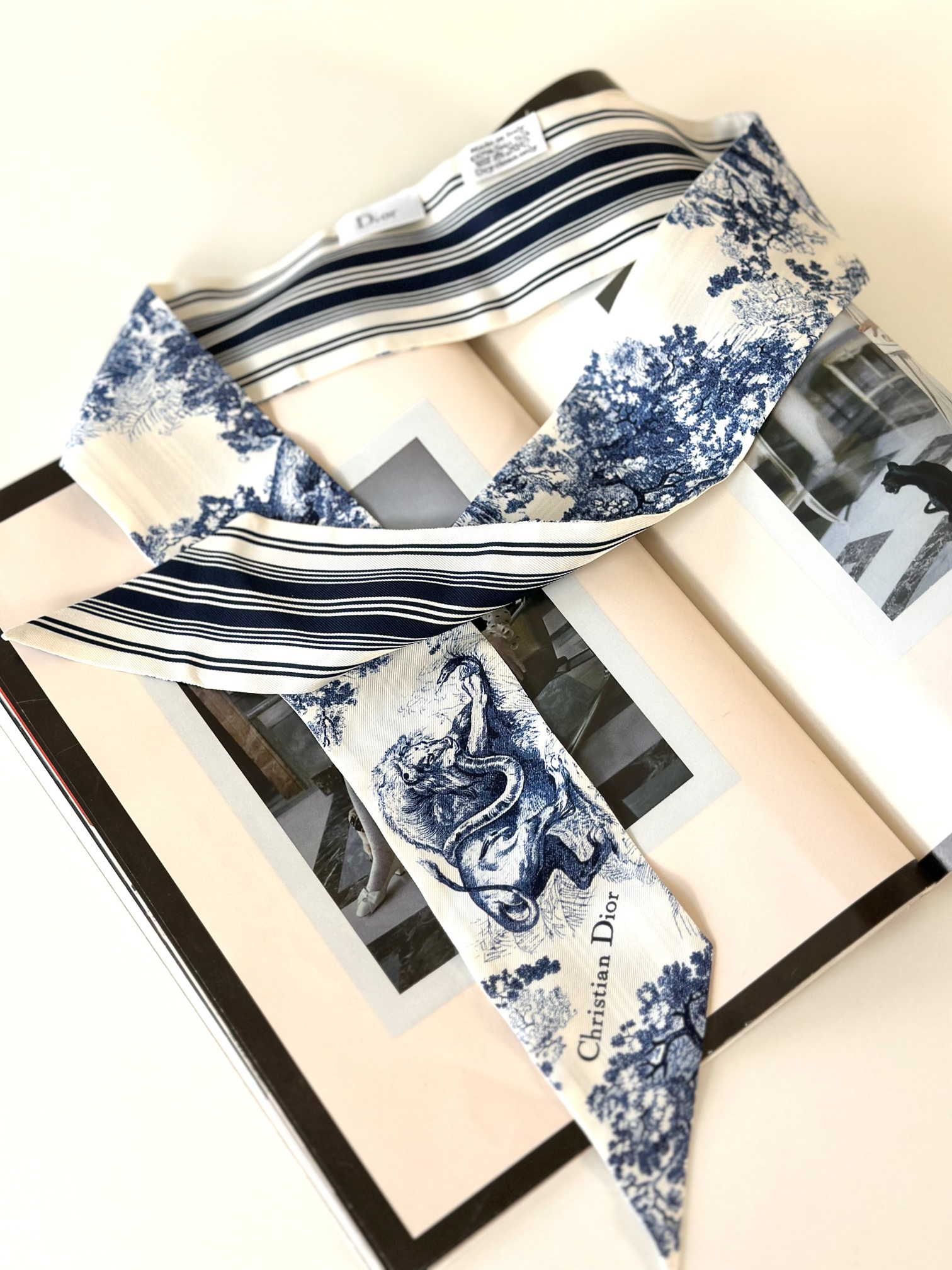 Dior twilly stripes - Image 2