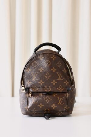Louis Vuitton Palm Springs backpack pm