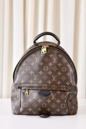 Louis Vuitton Palm Springs backpack mm
