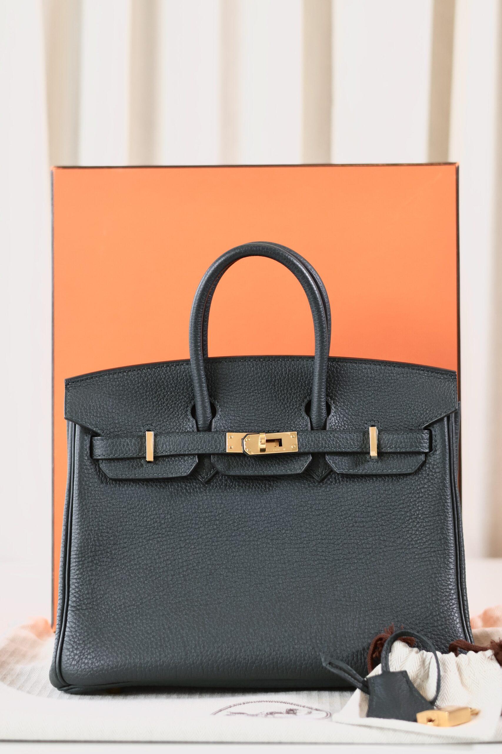 Hermes Birkin 25 Vert Cypres - Image 5