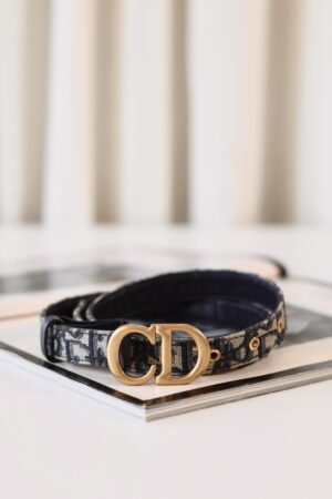 Dior oblique belt
