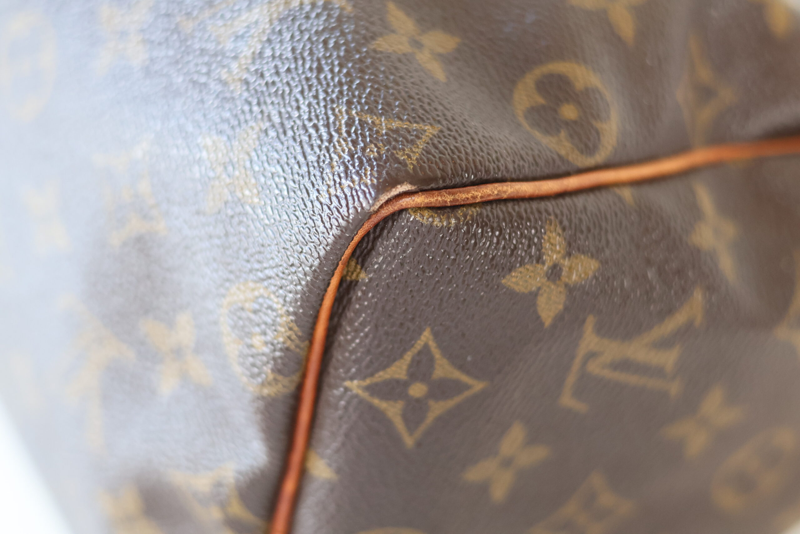Louis Vuitton Speedy 25 monogram - Image 10