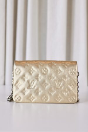 Louis Vuitton Metallic Pochette Coussin